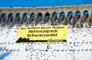 Auch Greenpeace unterstütz die Kampagne für den Nationalpark Schwarzwald